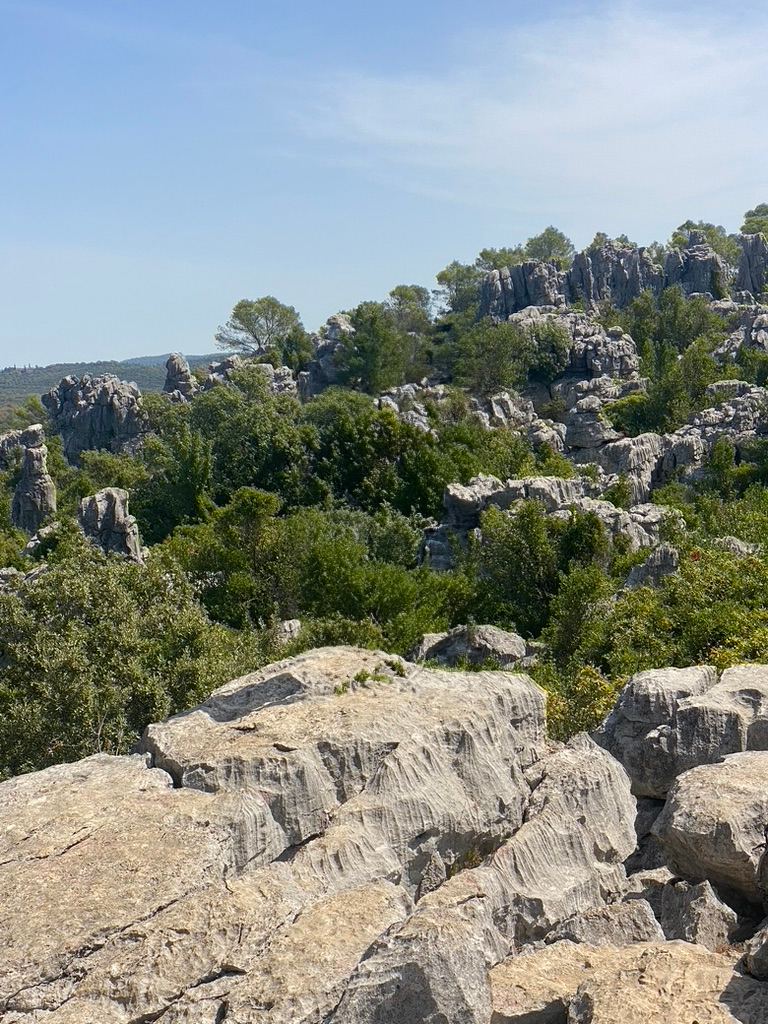 La mer des Rochers Sauve